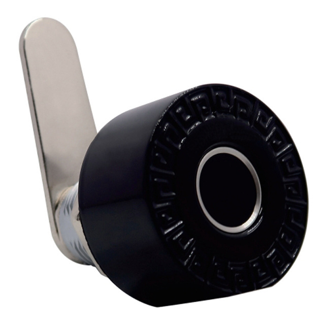 Technology wifi fingerprint door lock code password biometric keys Safe smart locks