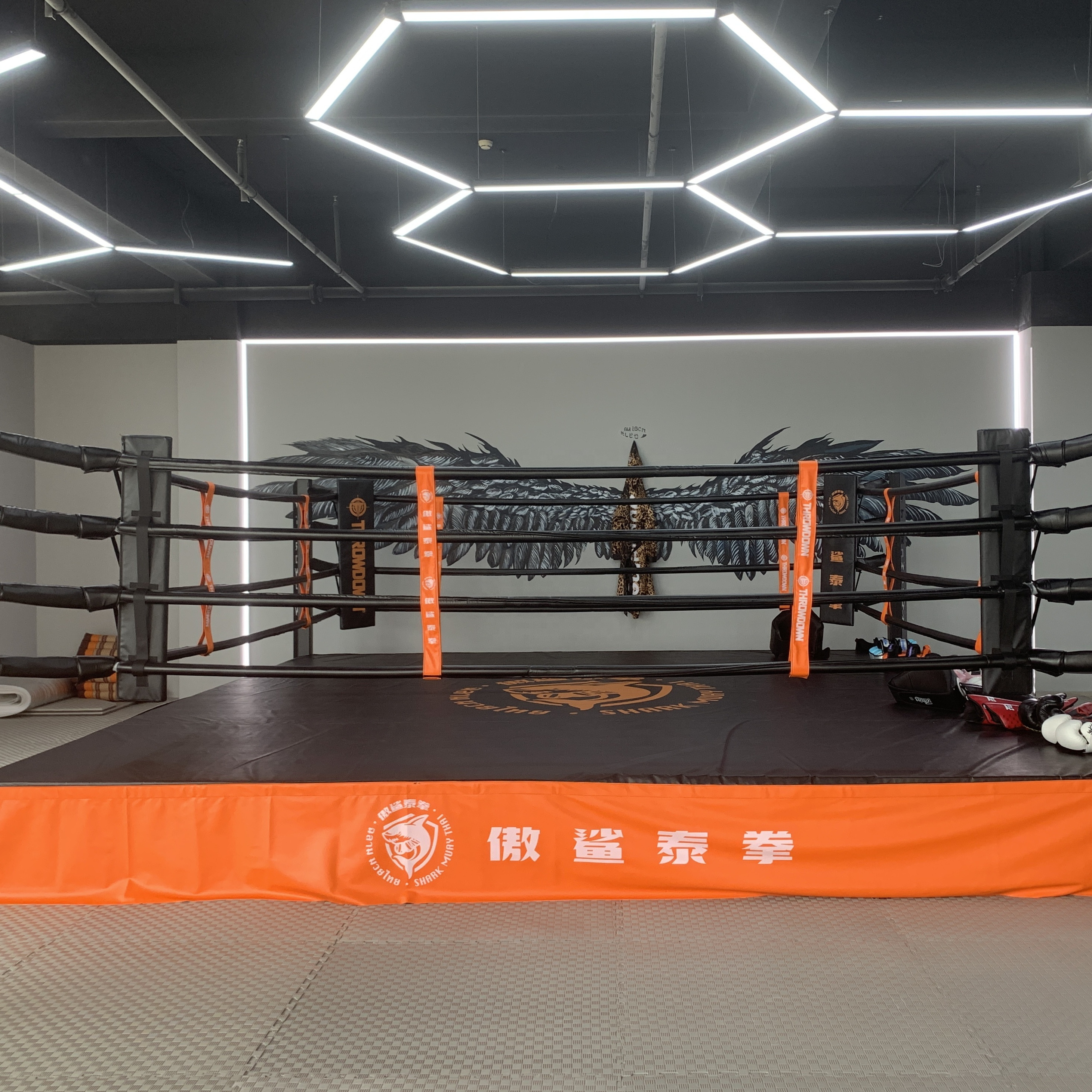 Wholesale Multifunction Floor Boxing Ring for Training 4X4 Boxing Ring Skirt Kickboxing Equipment