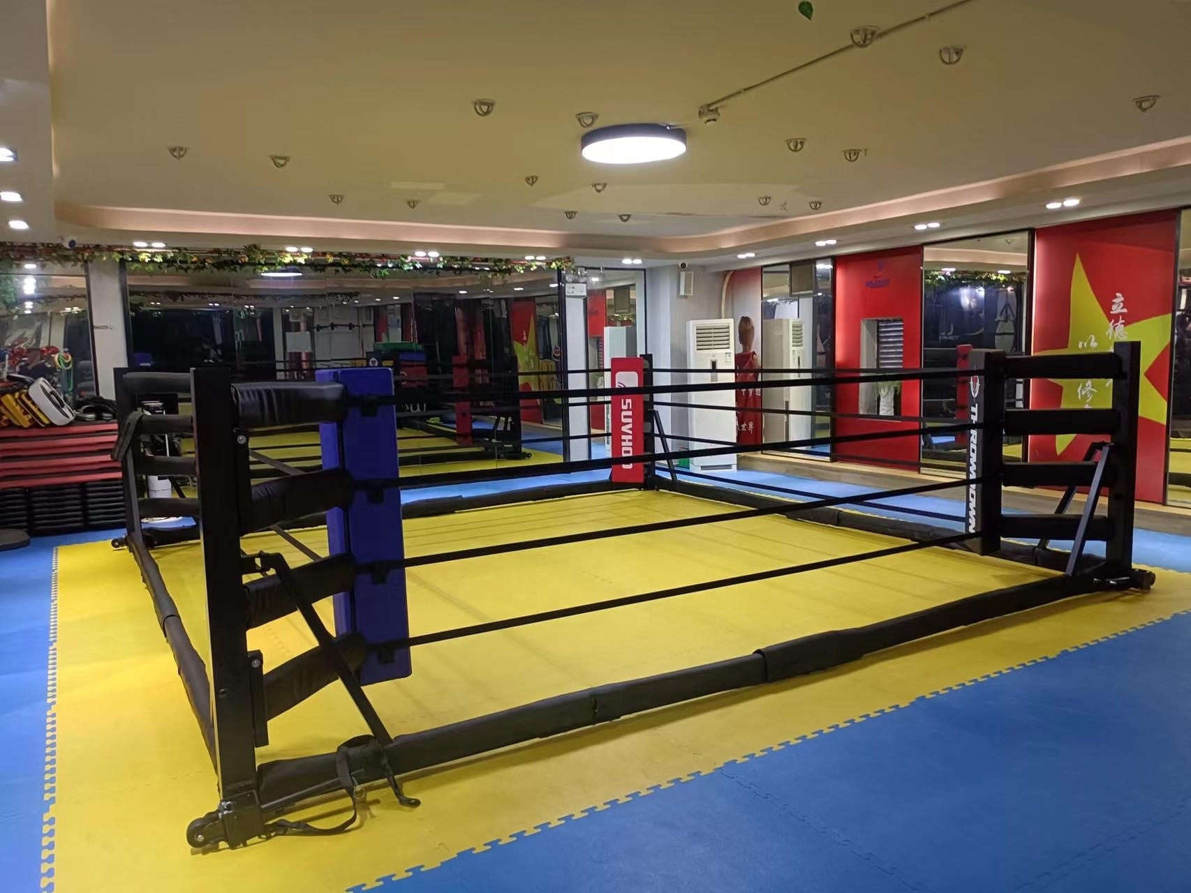 Custom Fast Folds Up Space Saving Professional Fight Wrestling Muay Thai Portable Mini Ground Floor Foldable Boxing Ring