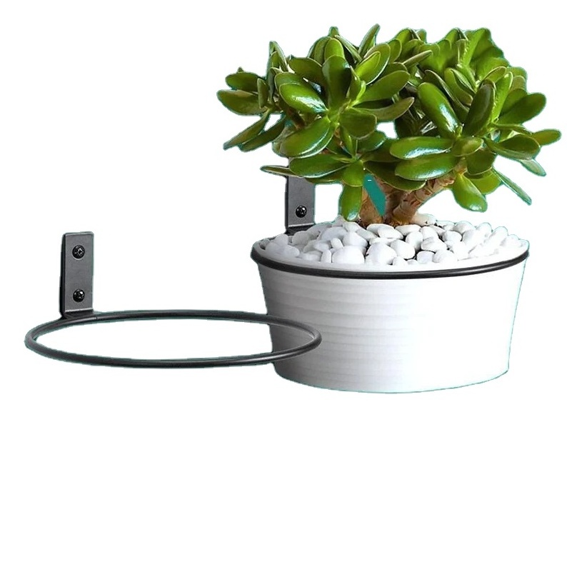 Ring Metal Wall Plant Hanger Planter Indoor Metal Plant Stand Wall Mounted Hanging Plant Holder