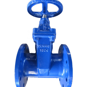 ANSI Flanged Manual Ductile Cast Iron Rising Stem Handwheel Handle Iron Gate Valve for Water Supply