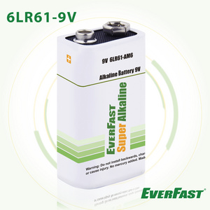 6LR61 9V Alkaline Battery Primary Batteries Dry Cell OEM AM6