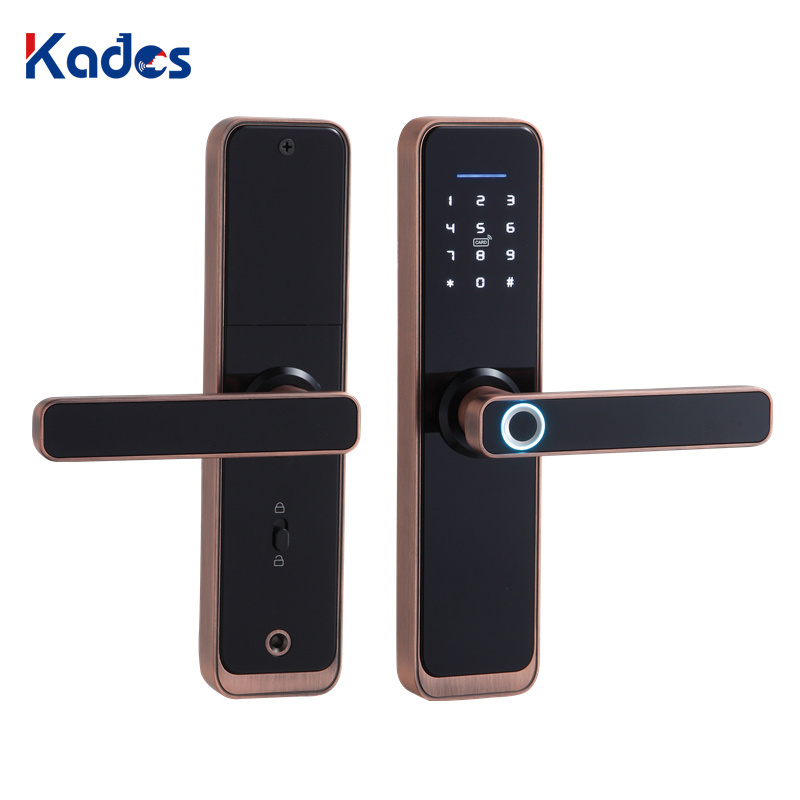 2023 Hot Sales Aluminium Alloy Intelligent Smart Door Lock Stainless Steel Fingerprint Password Smart Main Door Lock