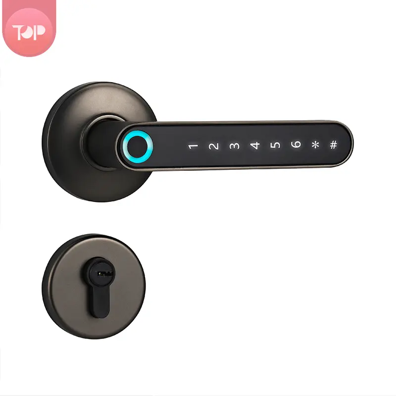 Rechargeable Handle  USB  Electric smart digital door lock Intelligent Handle Hotel Door Lock  Smart  Room Lock with TUYA APP