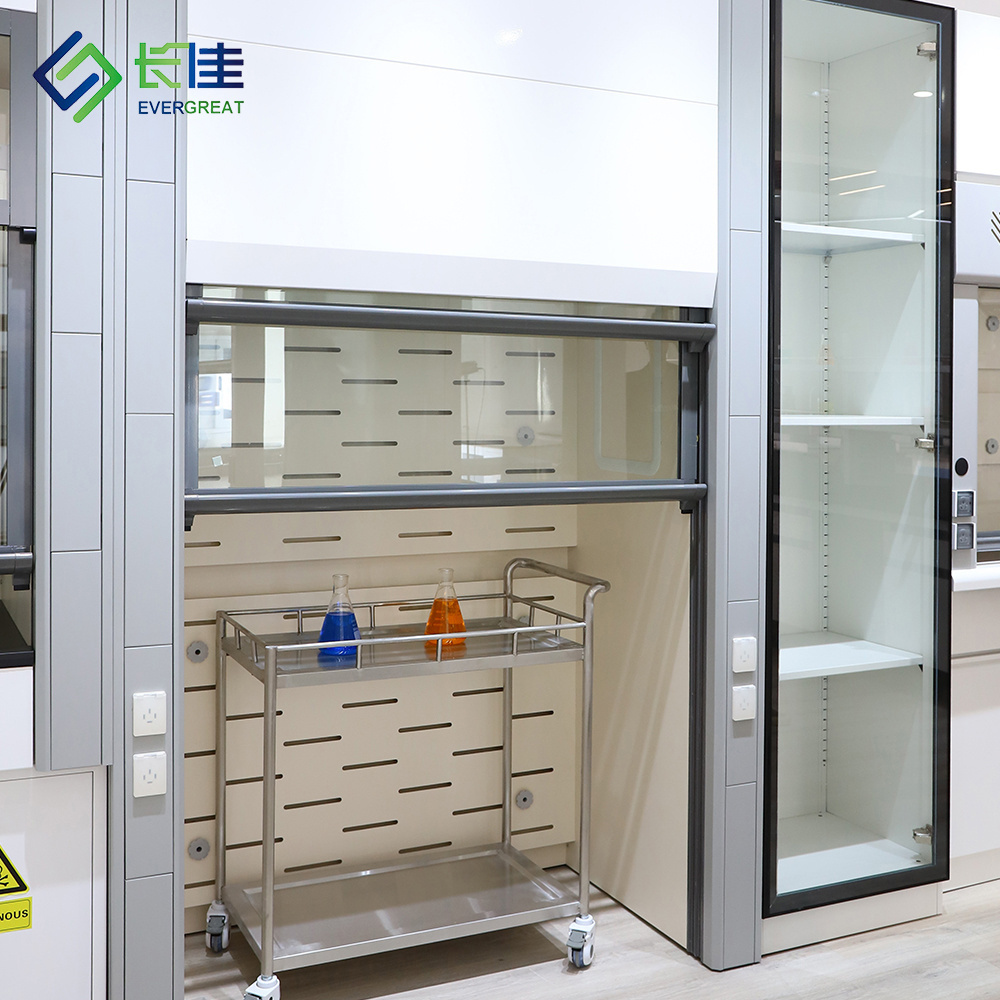 Chinese corrosion resistance laboratory furniture fume cupboard lab fume hood