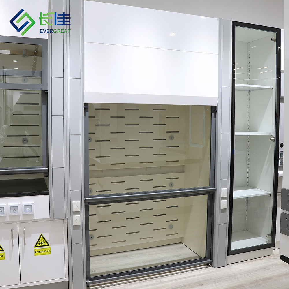 Chinese corrosion resistance laboratory furniture fume cupboard lab fume hood