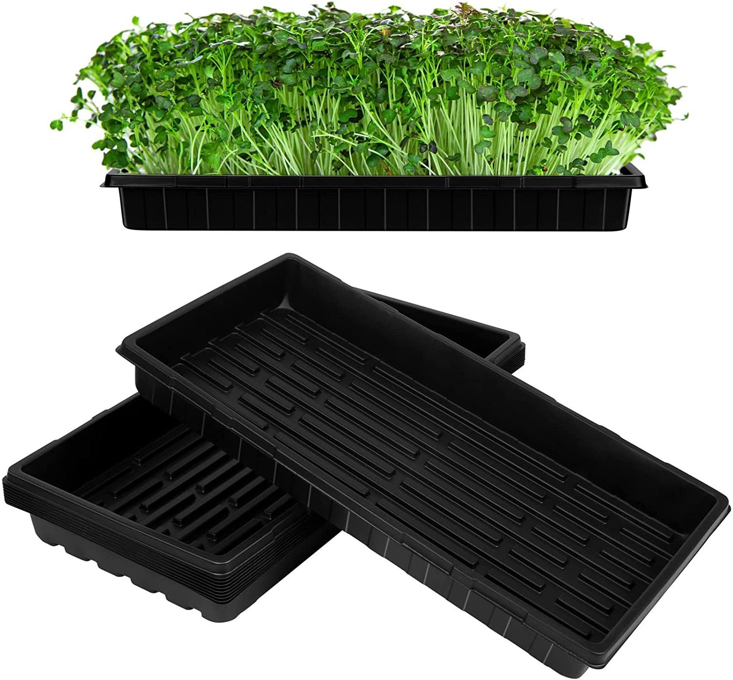 Plant Growing Trays No Drain Holes 20