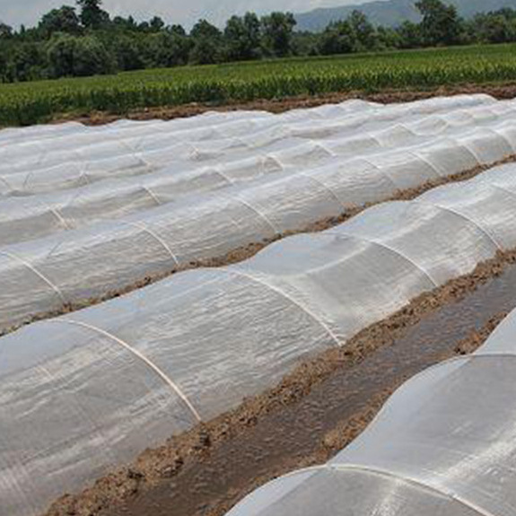 Green House Multi-span Agricultural Greenhouses and Commercial Fish Farming Greenhouse Insect Netting