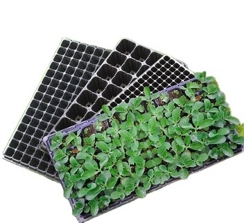 Plastic Plant Plug Nursery Seed Starter Tray 288 Cell Vegetable Seedling Propagation Germination Tray