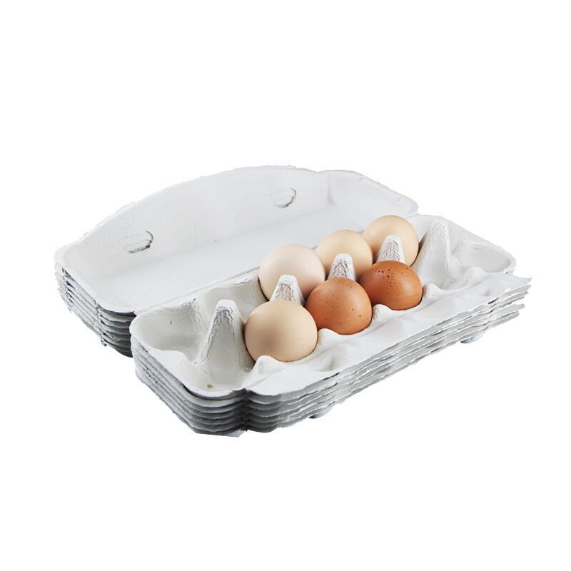 Cheap paper pulp egg carton of 12 cavities