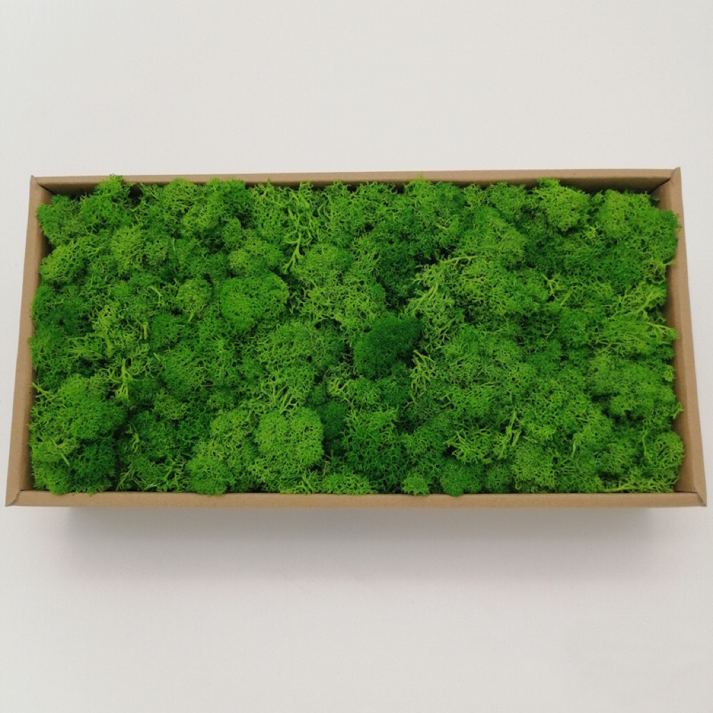 EG-V003 Natural Eternal Green Moss Wall Panels - Eco-friendly, Preserved Lichen & Reindeer Moss Decor