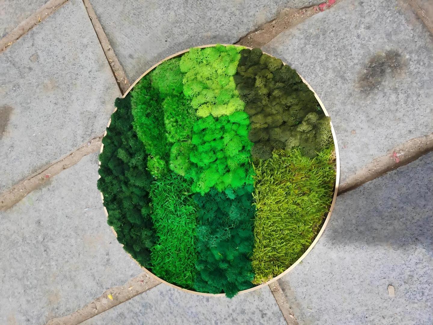 EG-J170 Customized Moss Decorative Preserved Moss Artificial Moss Wall Home Panel Decor