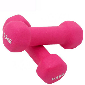 Dumbbell Weights 10Kg 20Kg Dumbbell Set