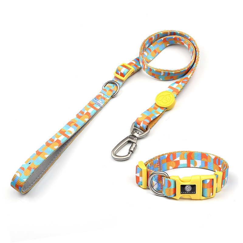 Dog Training Leash Dog Collar Wholesale Lightweight Small Medium Dog High Quality Pet Supplies