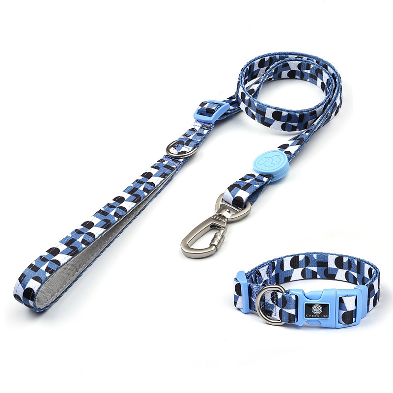 Dog Training Leash Dog Collar Wholesale Lightweight Small Medium Dog High Quality Pet Supplies