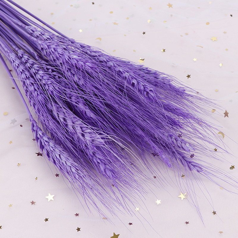 Dried Wheat Stalks  100 Stems Wheat Sheaves for Decorating Wedding Table  Pampas Grass Wheat Dried Flowers