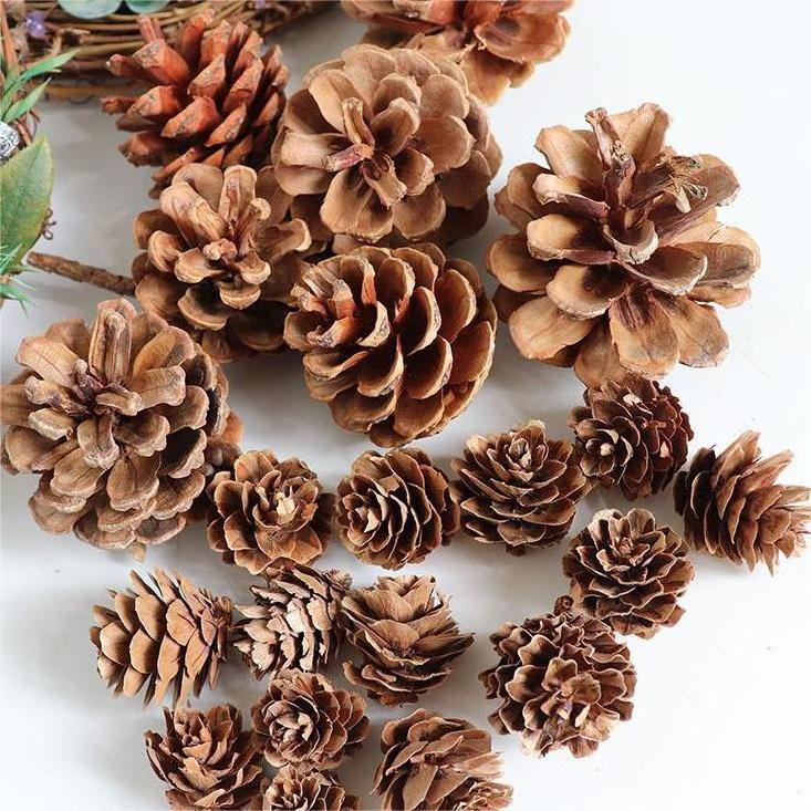 Festival Hanging DIY Wooden Natural Acorn Pinecone A Rod Stem Christmas Decoration Ornament Tree Mini Natural Dried Pine Cones