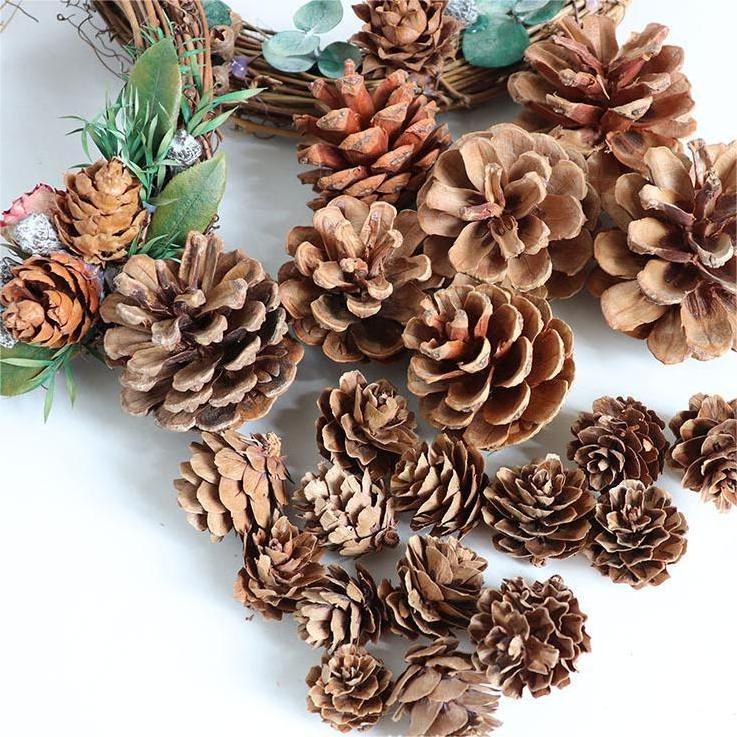 Festival Hanging DIY Wooden Natural Acorn Pinecone A Rod Stem Christmas Decoration Ornament Tree Mini Natural Dried Pine Cones