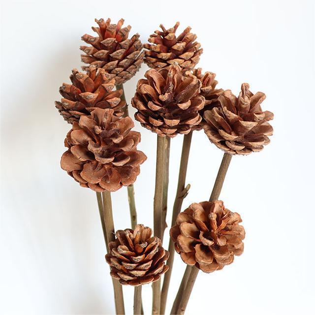 Festival Hanging DIY Wooden Natural Acorn Pinecone A Rod Stem Christmas Decoration Ornament Tree Mini Natural Dried Pine Cones