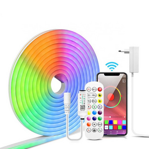 Bluetooth APP control RGB LED Neon Rope Light with 16 Million DIY Colors Dimmer 10ft Neon Neon Lights for Bedroom Living Room