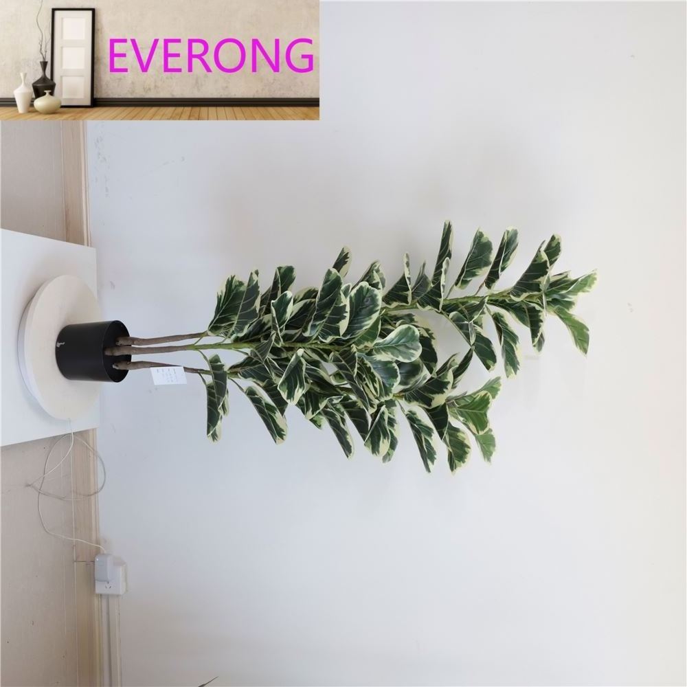 Factory Direct Selling Other Home Decor Bonsai Tree Plastic Preserved Artificial Real Touch Fiddle Leaf Fig Tree Ficus Lyrata