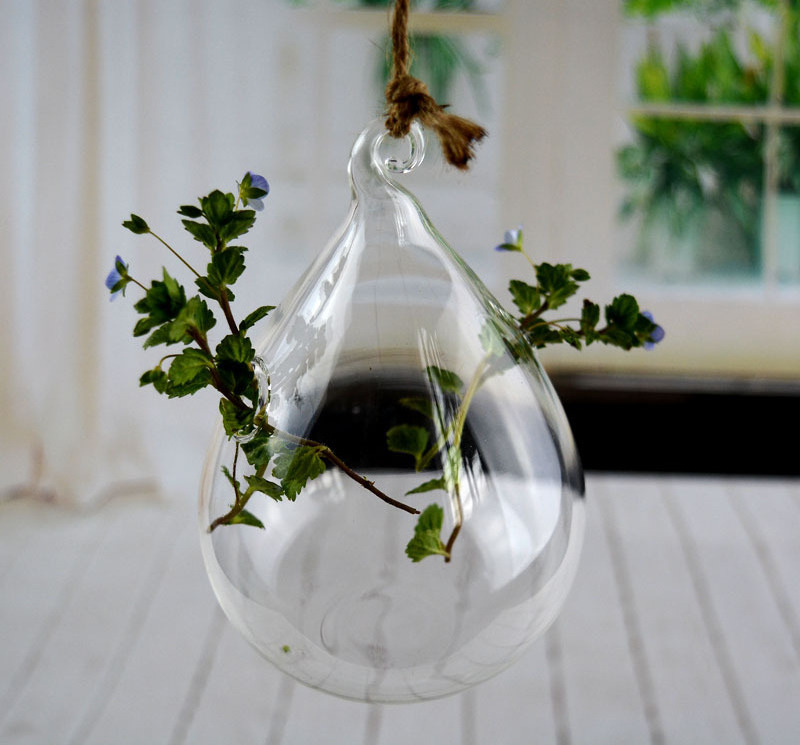 Wholesale fashion ideas transparent glass vase hanging hydroponic vase indoor plant decor