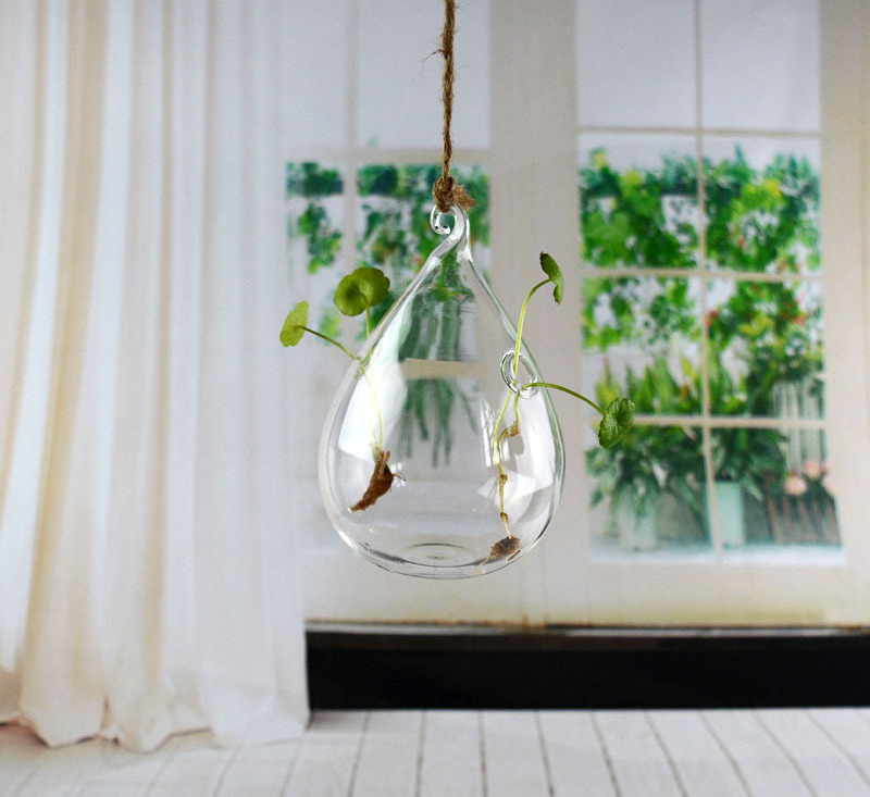 Wholesale fashion ideas transparent glass vase hanging hydroponic vase indoor plant decor