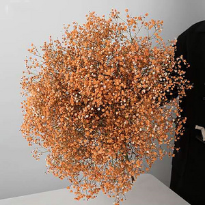 Valentine's day preserved gypsophila bouquet dired flower plant gypsophila filler spray bouquet home decorative flower