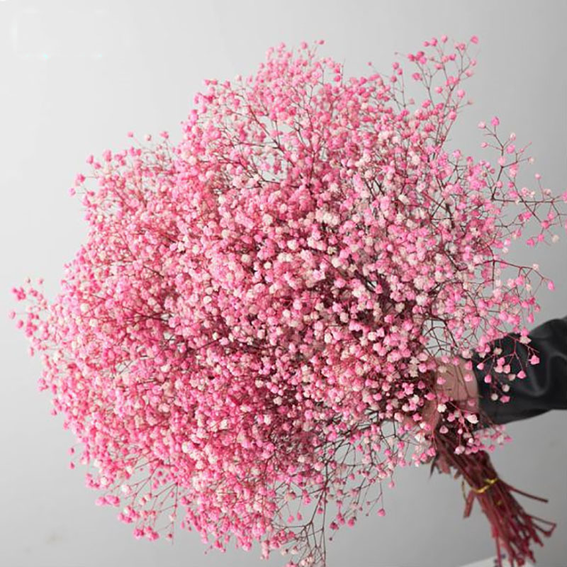 Valentine's day preserved gypsophila bouquet dired flower plant gypsophila filler spray bouquet home decorative flower