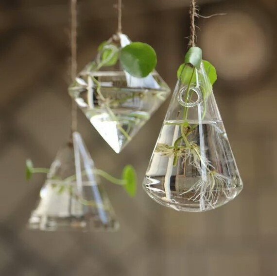 Wholesale fashion ideas transparent glass vase hanging hydroponic vase indoor plant decor