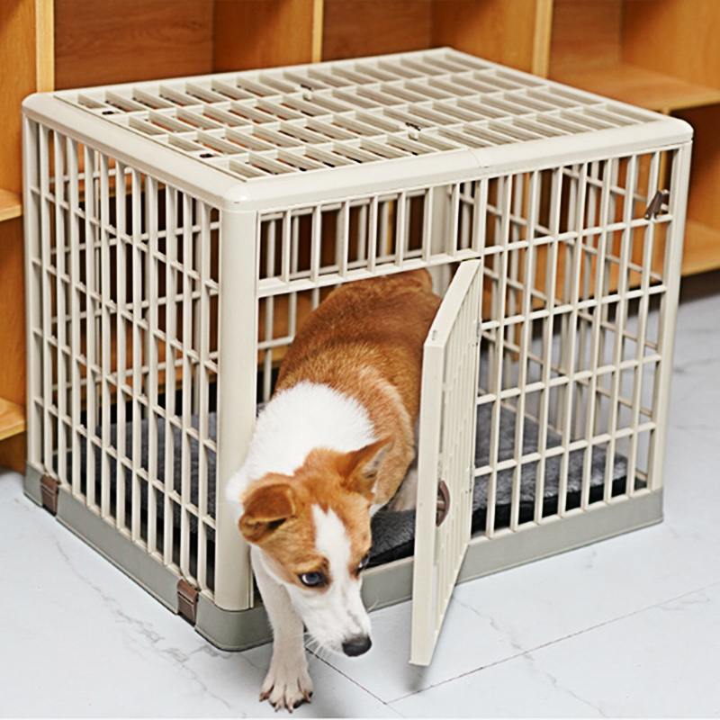 Promotion Newest Small And Medium Animal Dog Cage Resin Plastic Not Rust with Cover Dog House w Wheels Carrier Pet Cages