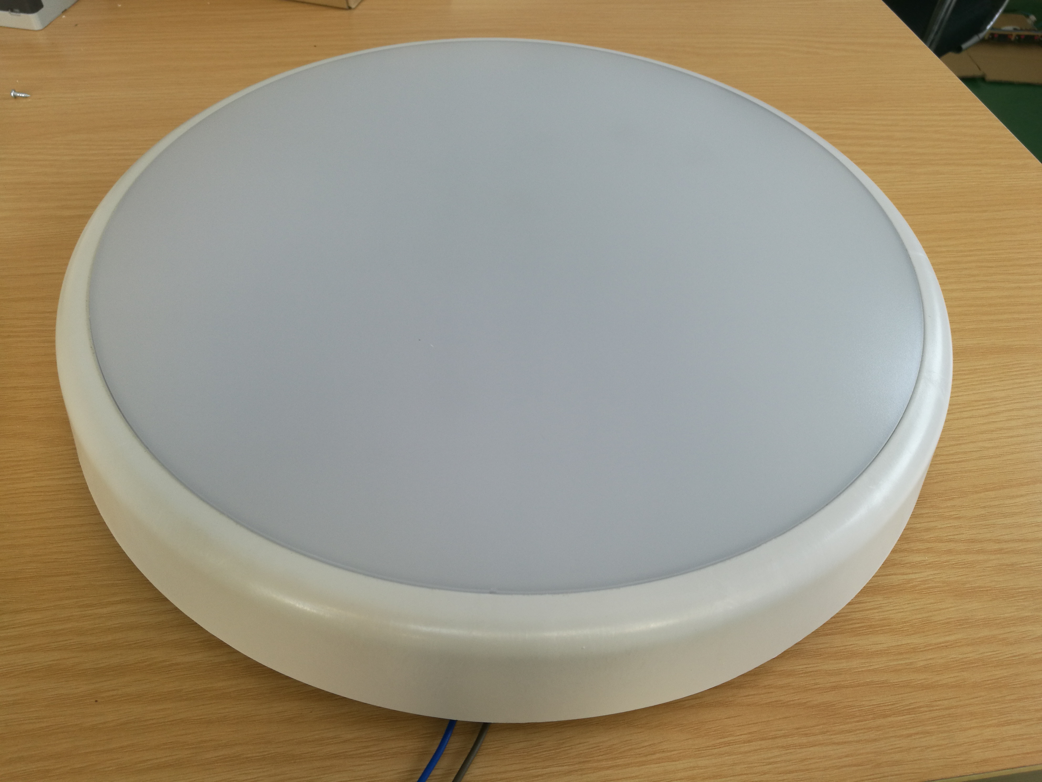 25W IP54 IK10 Waterproof plastic home living room surface mounted round indoor and outdoor LED ceiling light