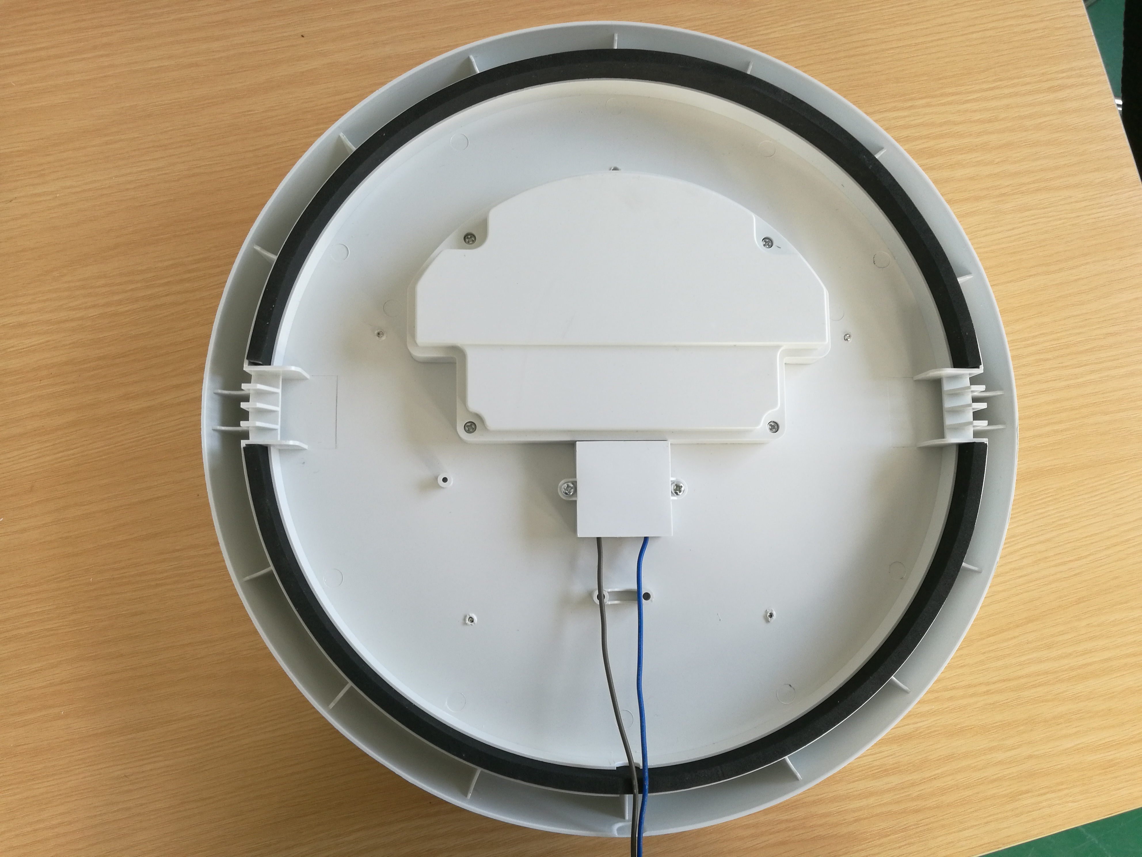 25W IP54 IK10 Waterproof plastic home living room surface mounted round indoor and outdoor LED ceiling light