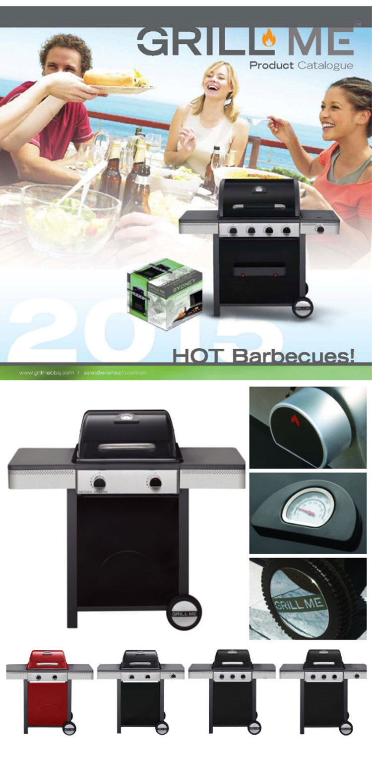 Built In Automatic Ignition 2 Burner Outdoor Garden Barbecue Gas Bbq Grill With Door bbq grill