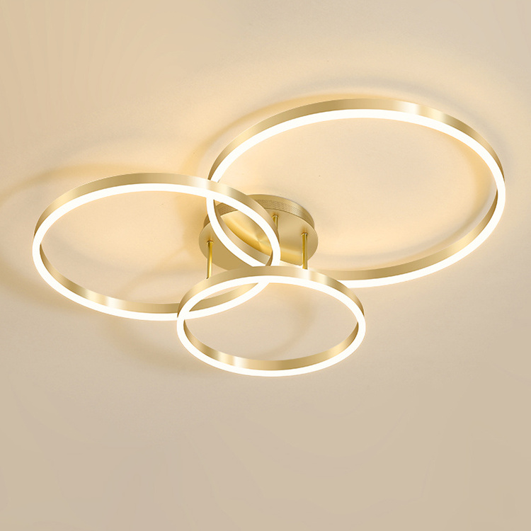 Acrylic Modern LED Ring Lamp Chandelier Ceiling Light Home Decor Light Fixture ZhongShan