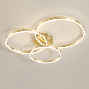 Acrylic Modern LED Ring Lamp Chandelier Ceiling Light Home Decor Light Fixture ZhongShan