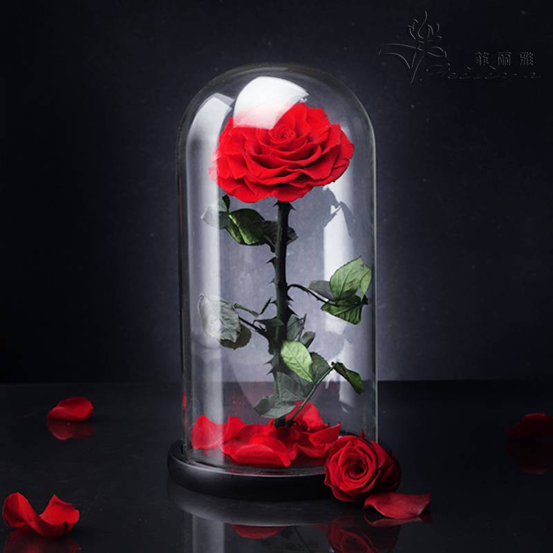 OEM Perfect Valentines Day Gifts Multiple Colours Eterna Rosa Conservata Preserved Everlasting Real Rose Flower in Glass Dome