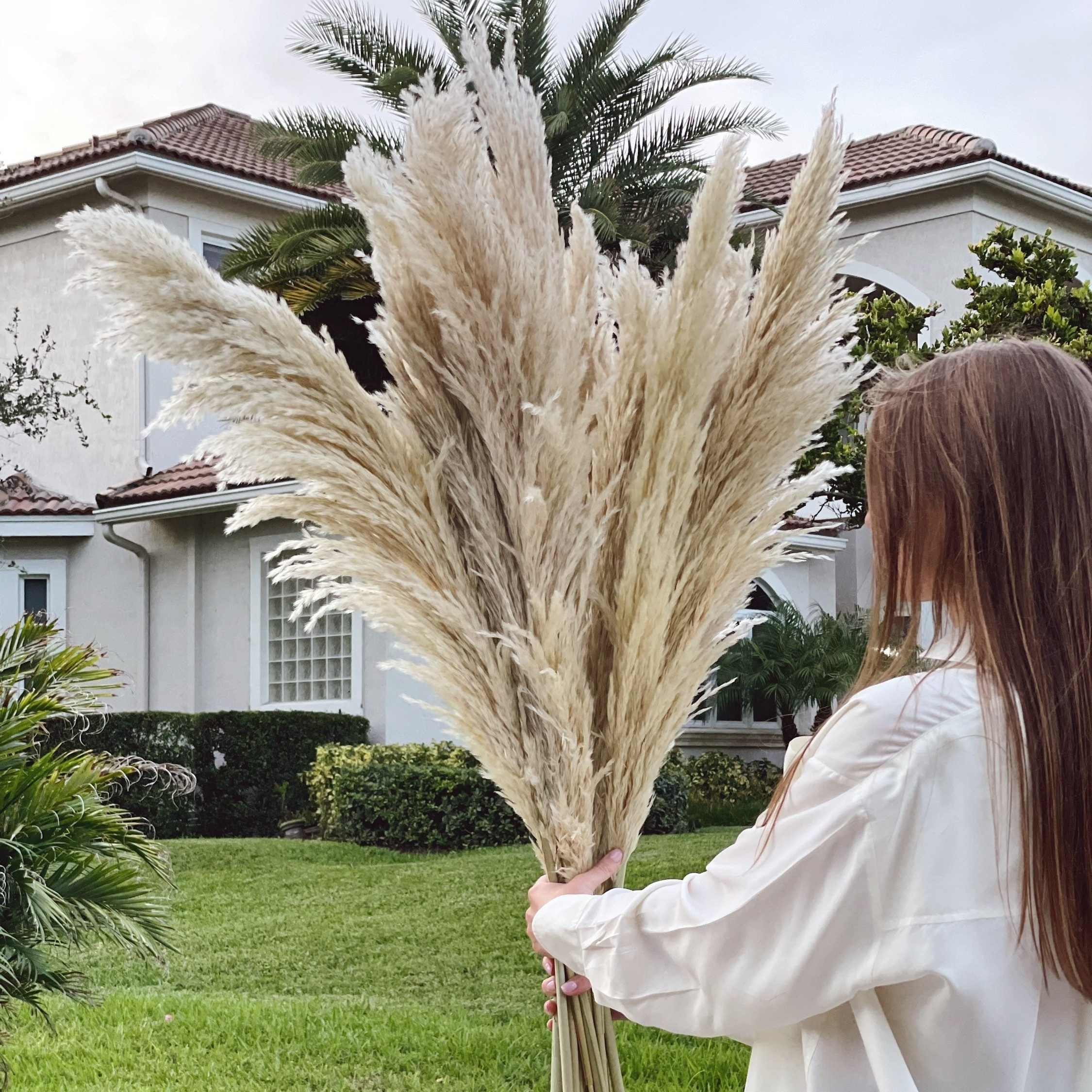 White Gray 66 Tall Natural Large fluffy dried decorative Artificial dried flower Pampasgras pampas grass for wedding home decor