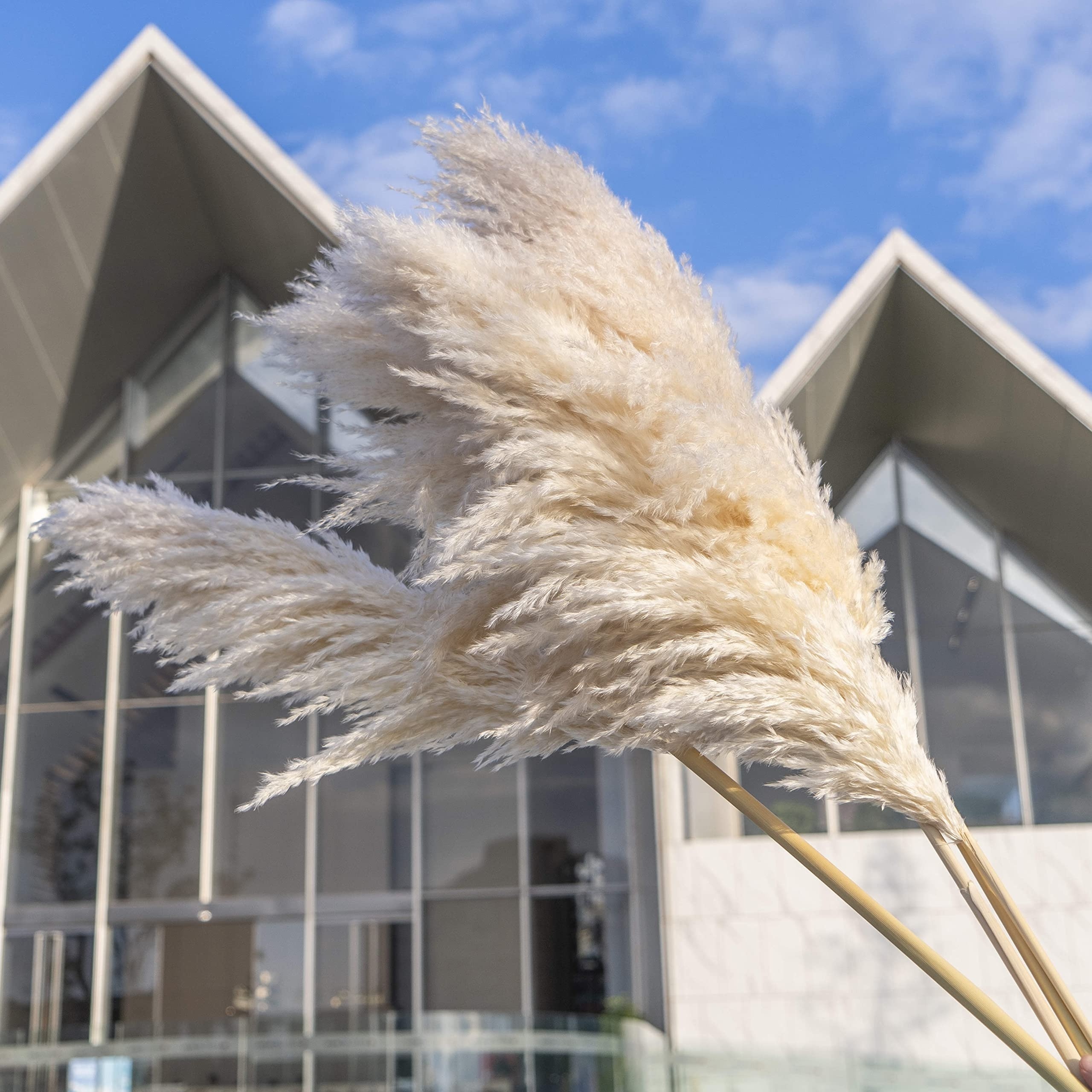 White Gray 66 Tall Natural Large fluffy dried decorative Artificial dried flower Pampasgras pampas grass for wedding home decor