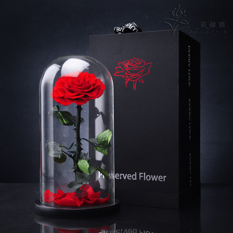 OEM Perfect Valentines Day Gifts Multiple Colours Eterna Rosa Conservata Preserved Everlasting Real Rose Flower in Glass Dome