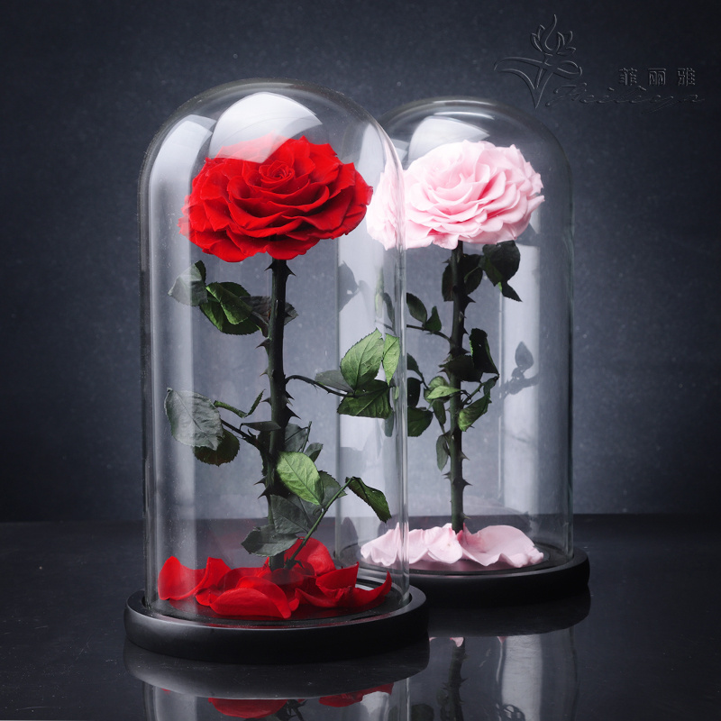 OEM Perfect Valentines Day Gifts Multiple Colours Eterna Rosa Conservata Preserved Everlasting Real Rose Flower in Glass Dome