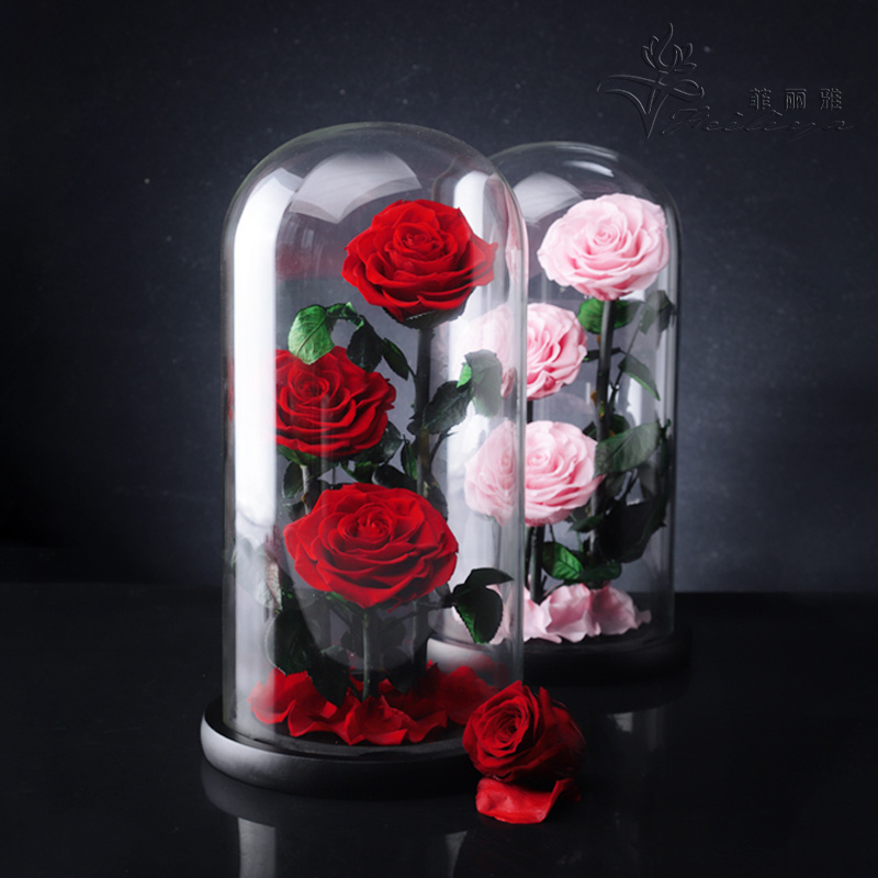 In Glass Dome Every Love Wholesale Real Natural Long Lasting Immortal Eternal Forever Flower Preserved Rose 6-7cm New Year 2 Pcs