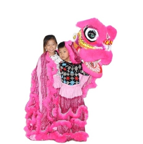 Unisex Lion Dance Costume for Kids New Year Performance Plush Anime Mascot Costume for Halloween