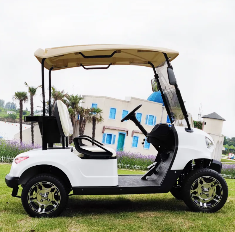 2 Seat Mini Buggy Off Road Brand New 4 Wheel Electric Club Car Golf Cart For Sale