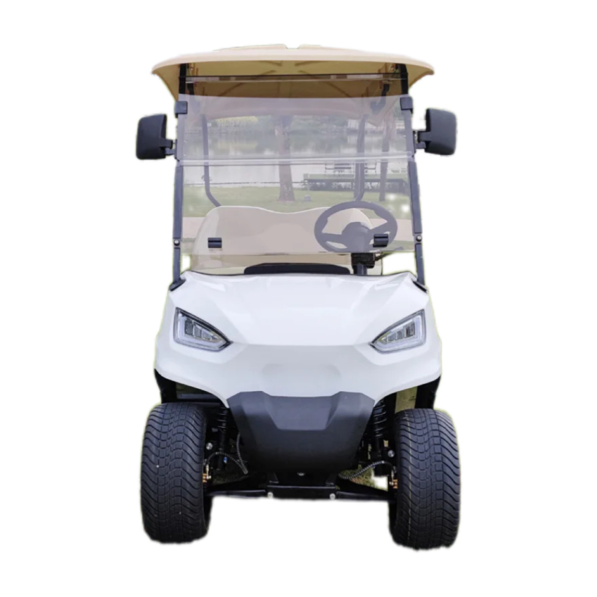 Modern Fashion Brand Design Wholesale Zone Electric Golf Cart With Two Seats