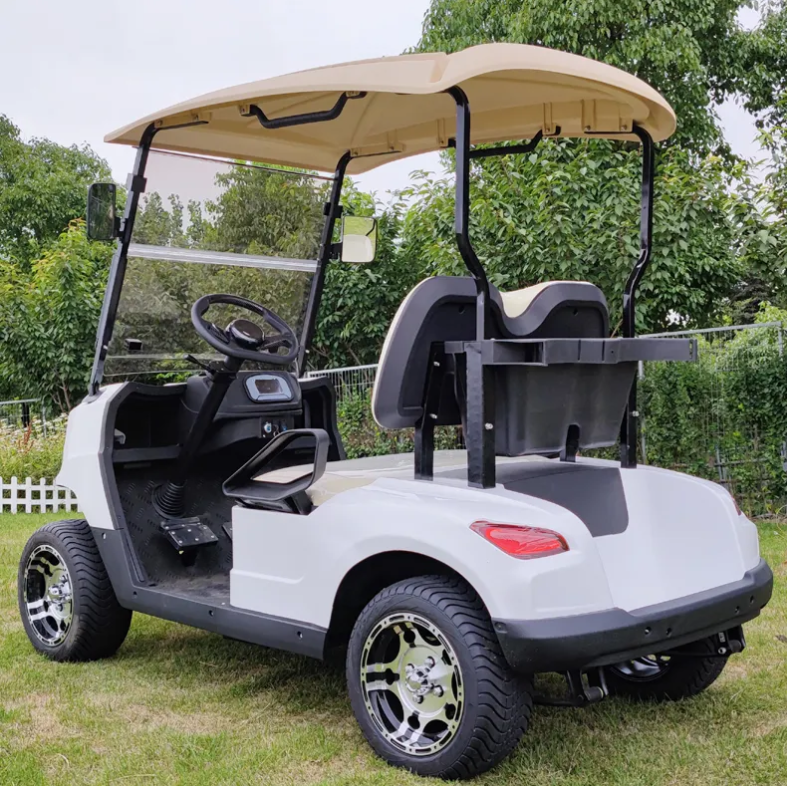 Modern Fashion Brand Design Wholesale Zone Electric Golf Cart With Two Seats