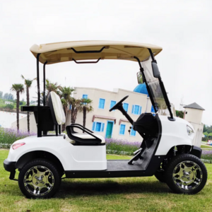 Hot Selling Multifunctional 2 Seater Electric Golf Cart Scooter Used For Sale