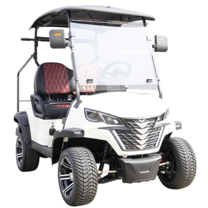 Cheap 4 passenger mini electric vintage golf carts for sale