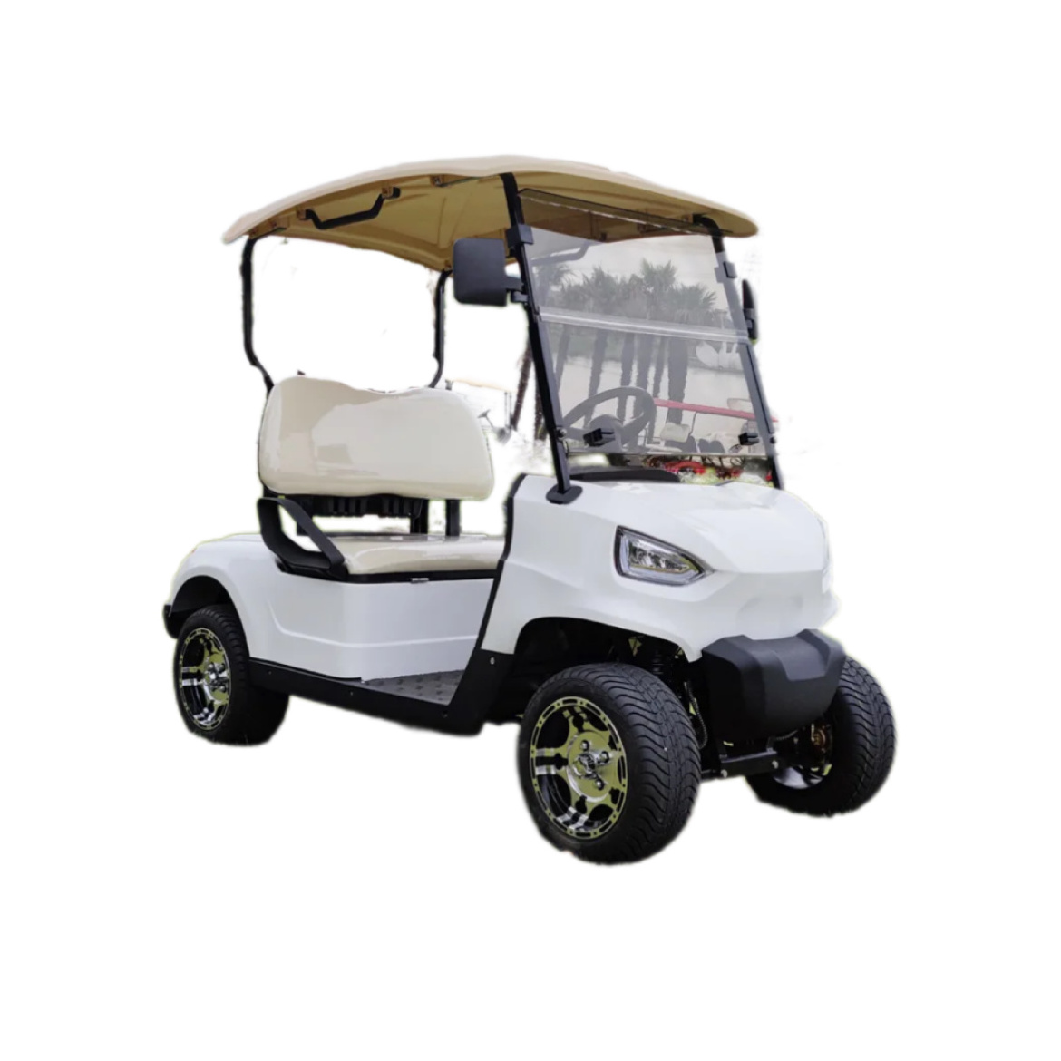 Modern Fashion Brand Design Wholesale Zone Electric Golf Cart With Two Seats