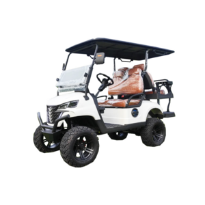 Luxury And Comfortable Stable Driving Cheap Trolley Miniature Electric Marshell Golf Cart